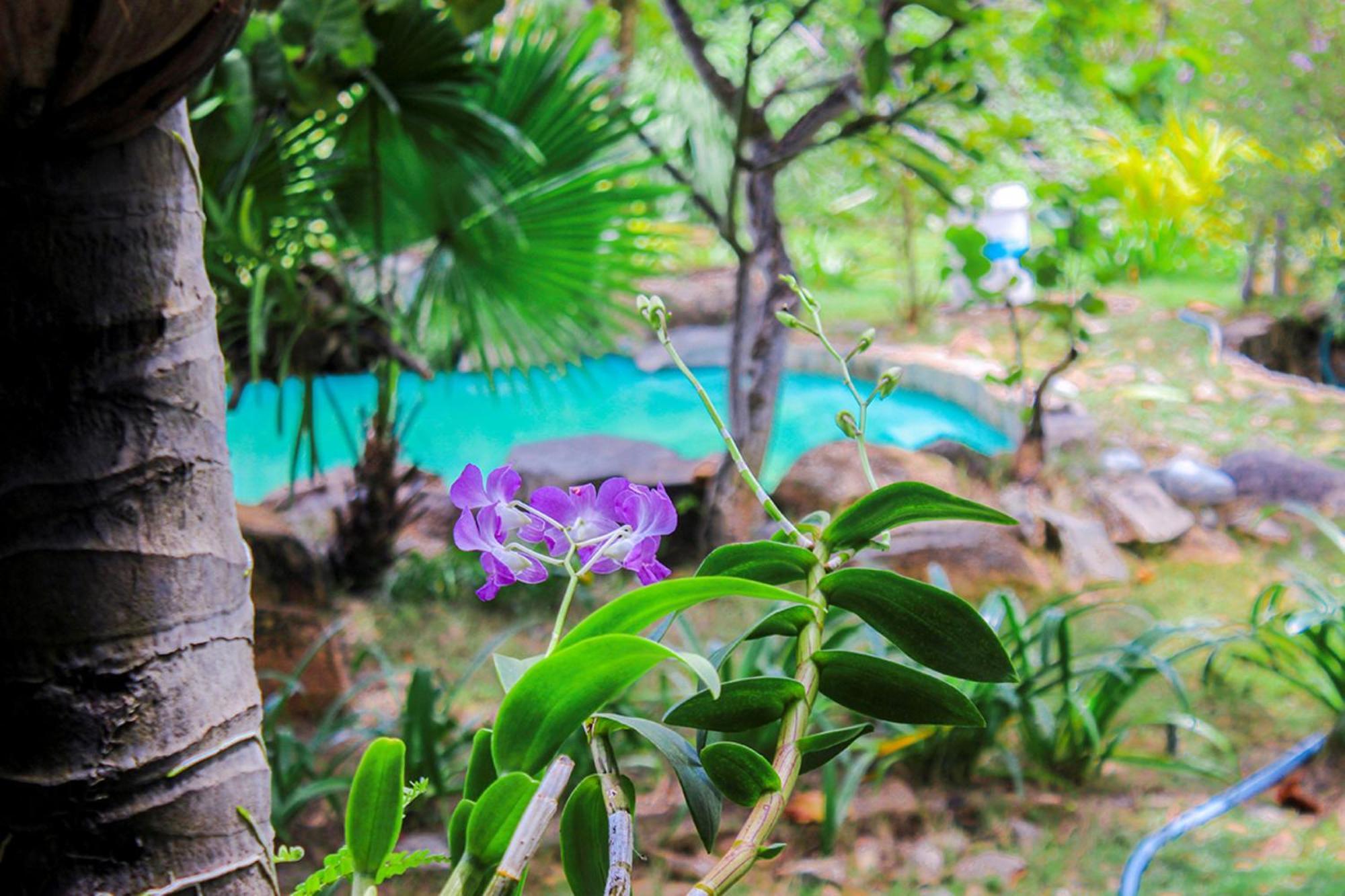 Me Bungalow Beach Resort 潘切 外观 照片